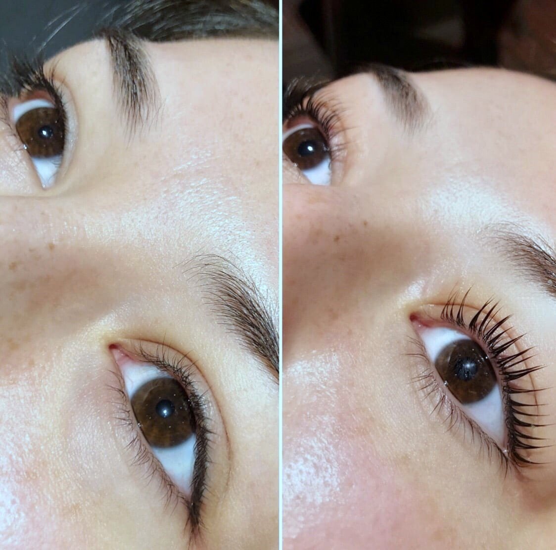maxi care eyebrows eyelash lift elleebana before after